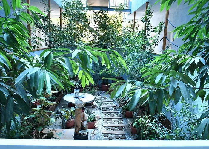 Valais Alykanas (Zakynthos)